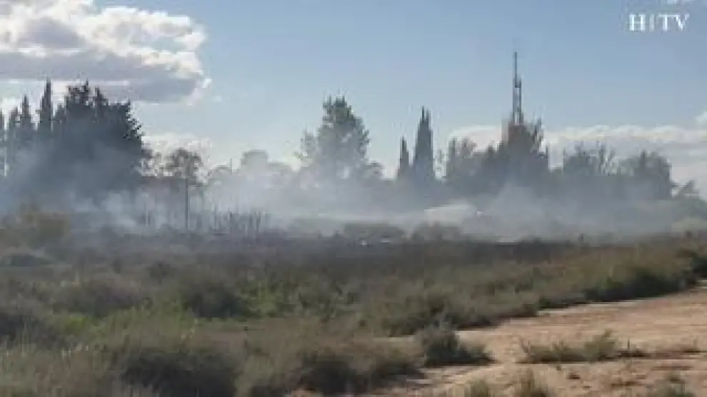 Los Bomberos de Zaragoza ha controlado ya el incendio que se ha producido alrededor de las 17.00 de este viernes en las proximidades del estadio El Olivar.