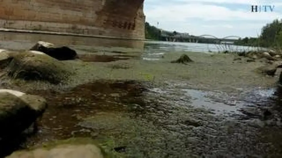 El río Ebro a su paso por la capital aragonesa registra durante estos días el nivel de caudal más bajo del año. Además, se incrementa la presencia de mosquitos en su ribera.