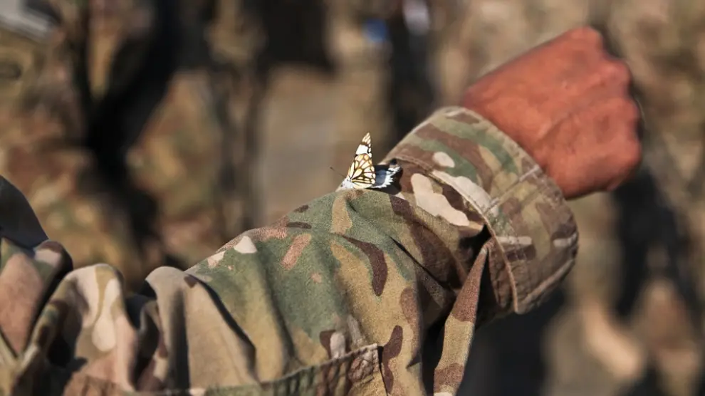 Una mariposa sobre el uniforme de un soldado en Afganistán