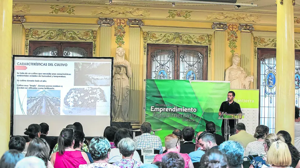 Álvaro Alcalá, durante la presentación de su proyecto empresarial Champiñón del Manubles, en la sede de Bantierra.