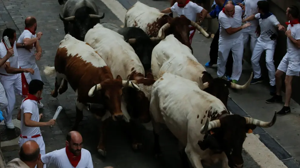 Bulls and steers arrive before the running of the bulls at the San Fermin festival in Pamplona, Spain, July 9, 2019. REUTERS/Jon Nazca [[[REUTERS VOCENTO]]] SPAIN-CULTURE/BULLS