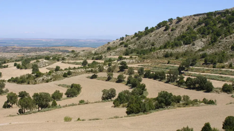 El Aragón rural y despoblado ha sido el gran protagonista.
