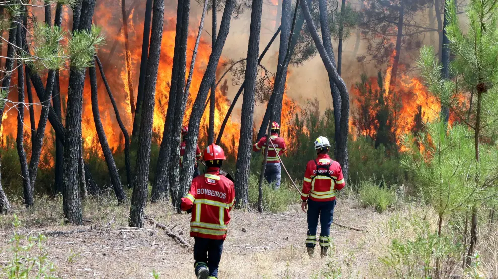 Los Bomberos trabajan por controlar las llamas en Portugal.