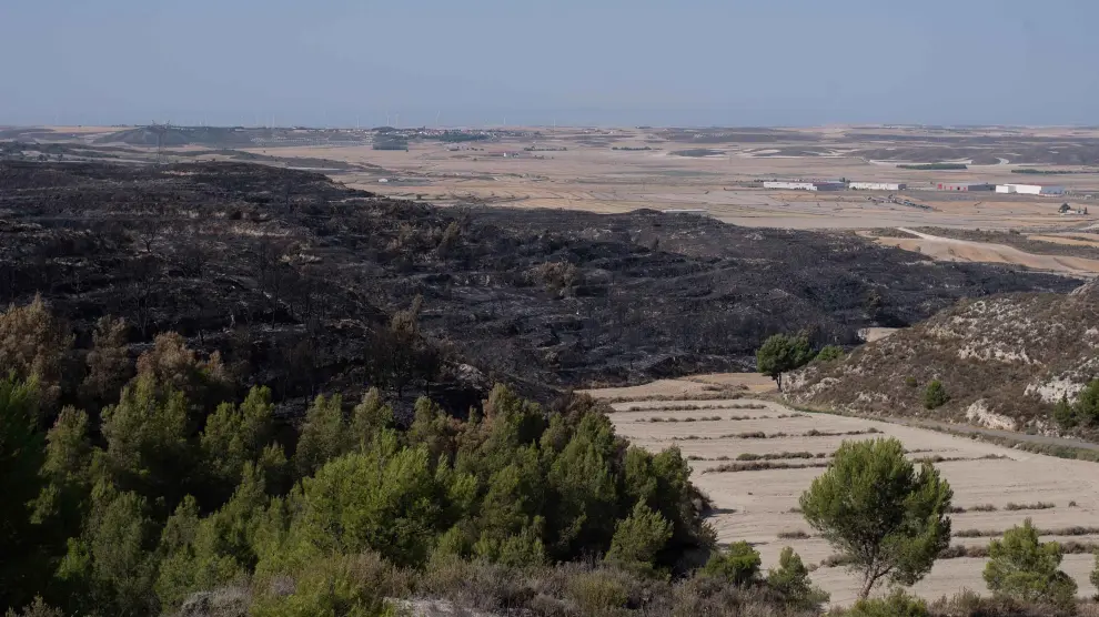 Superficie afectada por el incendio declarado el pasado martes entre Leciñena y Perdiguera.