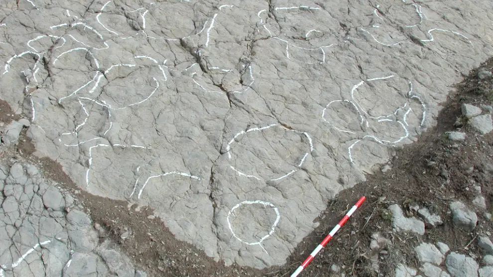 Huellas de dinosaurios halladas en Miravete de la Sierra, Teruel.