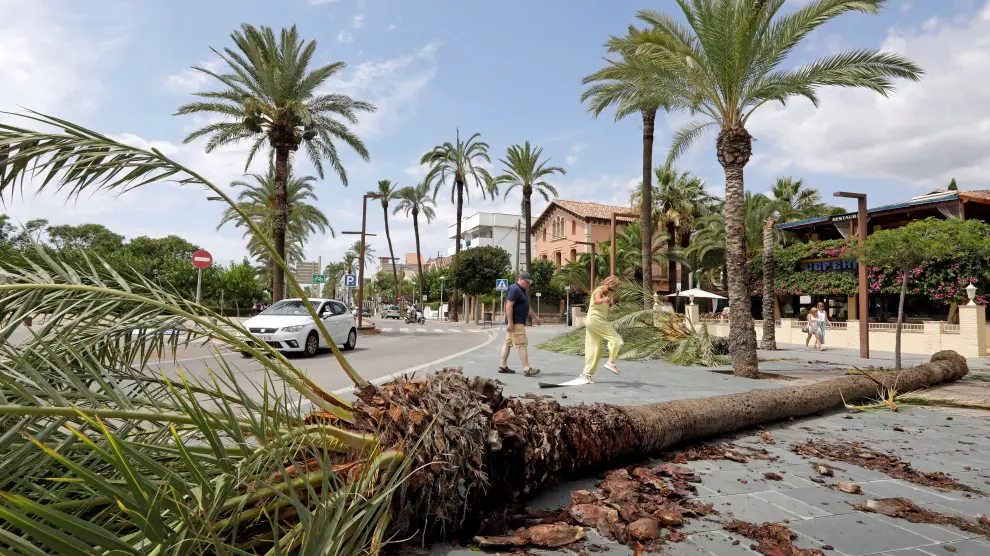El temporal de lluvia ha provocado inundaciones, derrumbes y caída de palmeras siendo la población de Vilanova i la Geltrú y su paseo marítimo los más afectados.