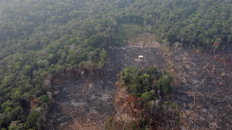 Efectos de los incendios en el Amazonas.