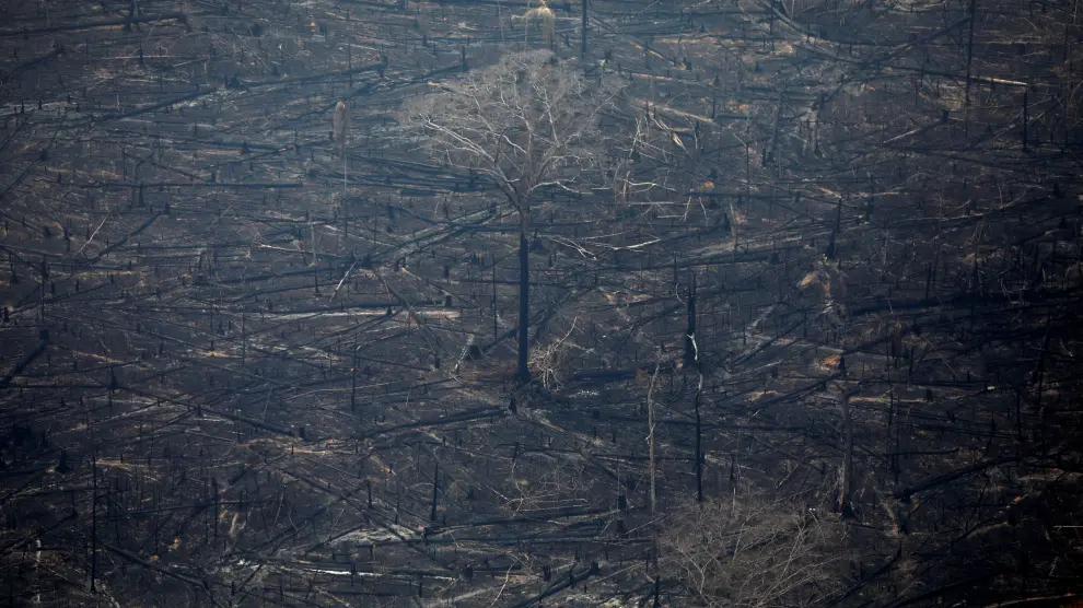 An aerial view of a deforested plot of the Amazon in Boca do Acre, Amazonas state, Brazil August 24, 2019. REUTERS/Bruno Kelly [[[REUTERS VOCENTO]]] BRAZIL-ENVIRONMENT/WILDFIRES