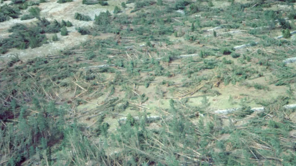 Imagen aérea que muestra los devastadores efectos del tornado de Mosqueruela de 1999.