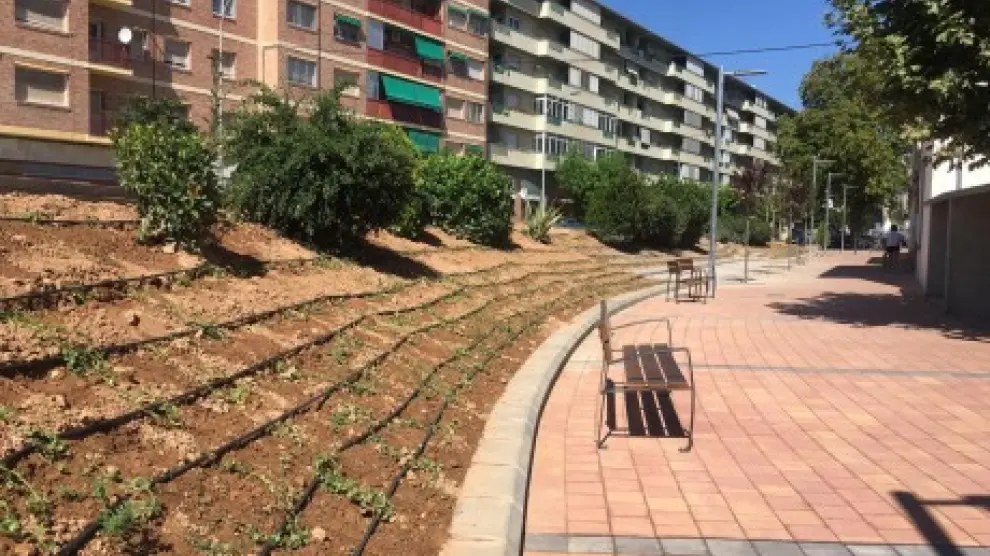 Jardines de la avenida de Ramón y Cajal.