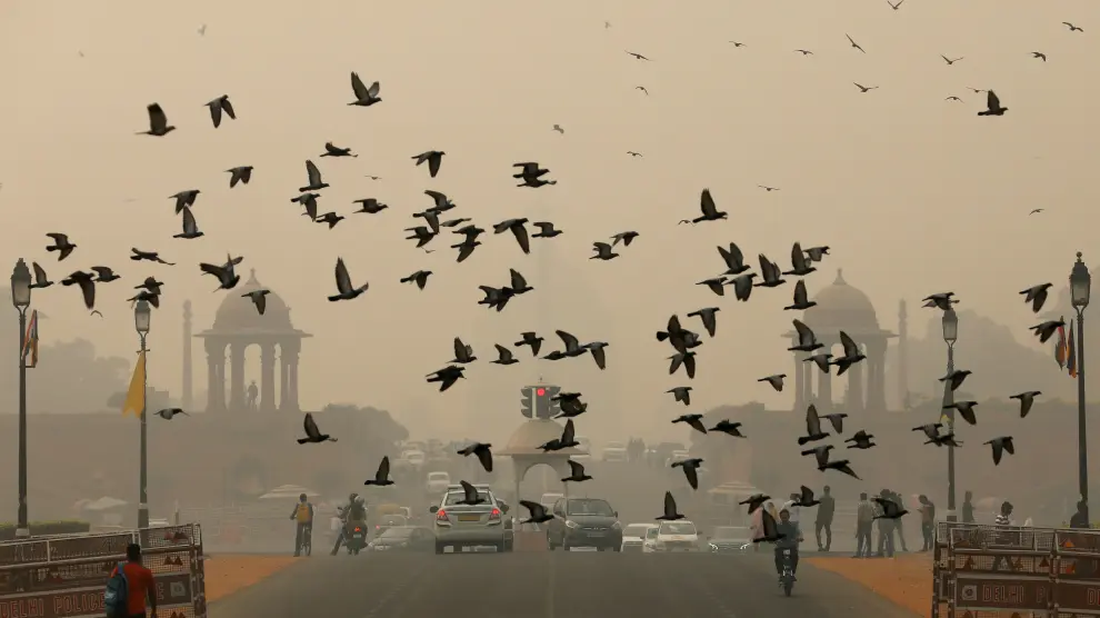 Una bandada de pájaros sobrevuela Nueva Delhi en un día en que la contaminación es visible.
