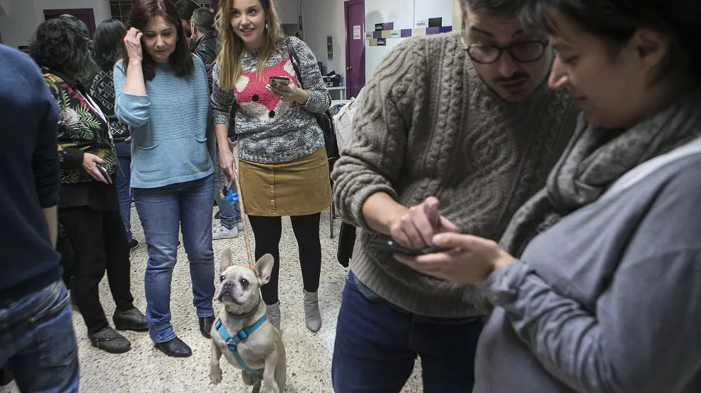 La consejera de Unidas Podemos, Maru Díaz, con su perro, junto a la candidata al Senado, Yolanda Sancho.