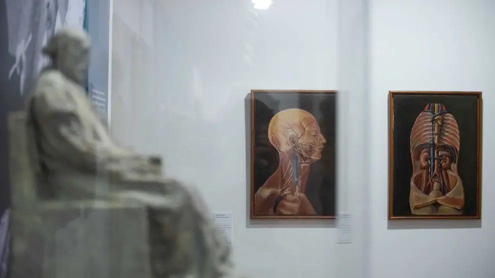 Un aspecto de la exposición 'Santiago Ramón y Cajal. 150 años en la Universidad de Zaragoza'.
