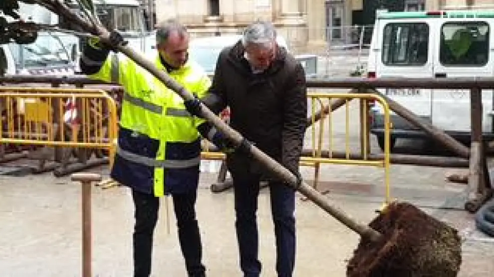 Jorge Azcón, alcalde de Zaragoza, ha plantado un árbol como acto simbólico de adhesión a la campaña #UnÁrbolPorEuropa, impulsada por el Equipo Europa del Parlamento Europeo.
