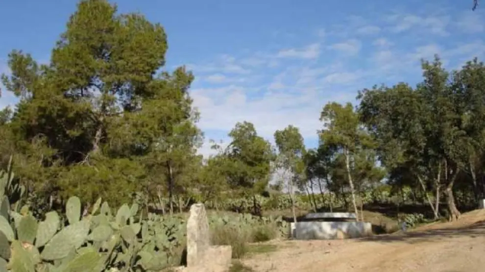 Aparece el cadáver calcinado de una mujer en un parque en Monteagudo (Murcia)