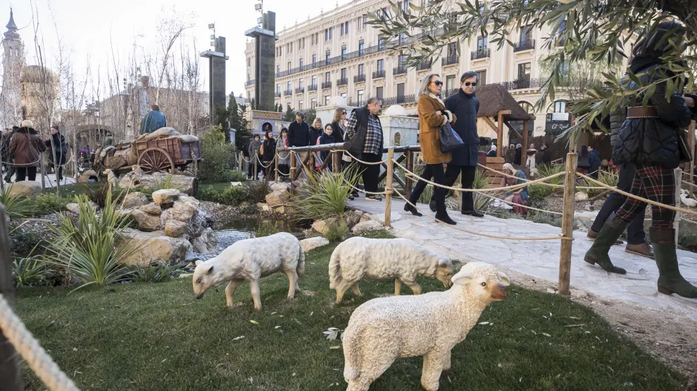 Varias ovejas en el belén de la plaza del Pilar de Zaragoza.