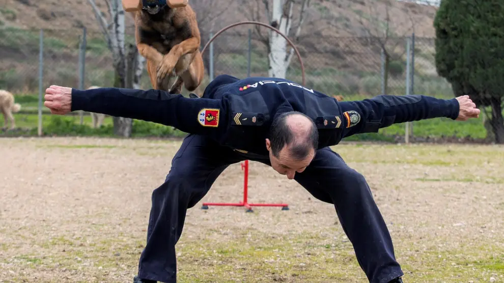 Unidad canina de la Policía Nacional.