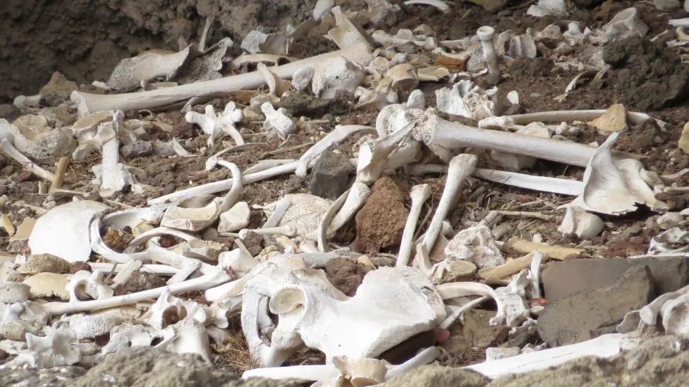 Arqueólogos canarios encuentran una cueva funeraria intacta