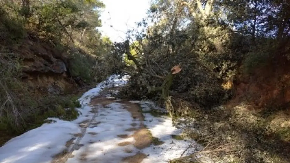 Los destrozos afectaron a 30 kilómetros de la vía verde Val de Zafán.