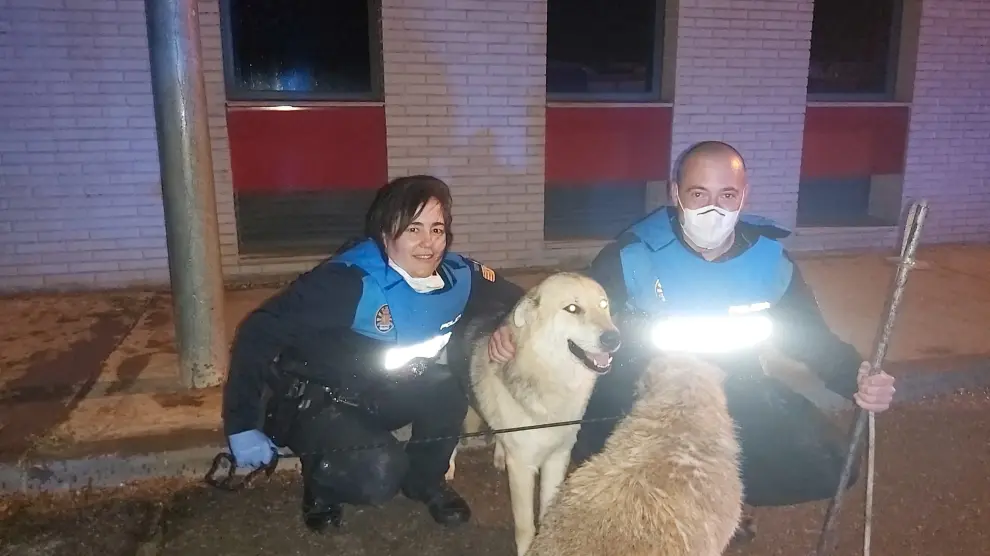 Los agentes de la Policía Local de Utebo, junto a los dos perros, después del rescate