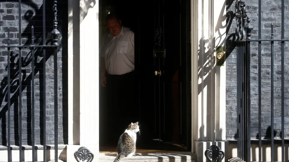 'Larry el gato', este domingo en el 10 de Downing Street, residencia del primer ministro inglés.