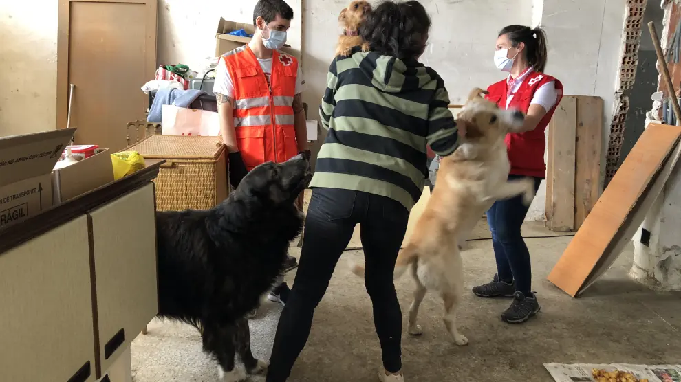 Pilar habla con Lucía Conde y Alex Rajadel acompañada de sus perros