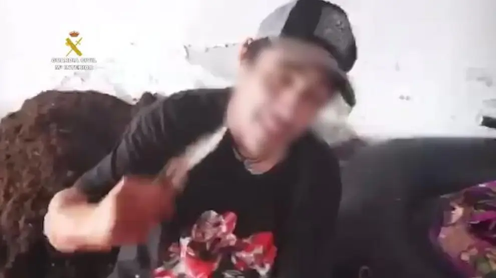 La Guarcia Civil de Guadalajara ha denunciado a dos personas por robar un cordero, desollarlo y subir el vídeo