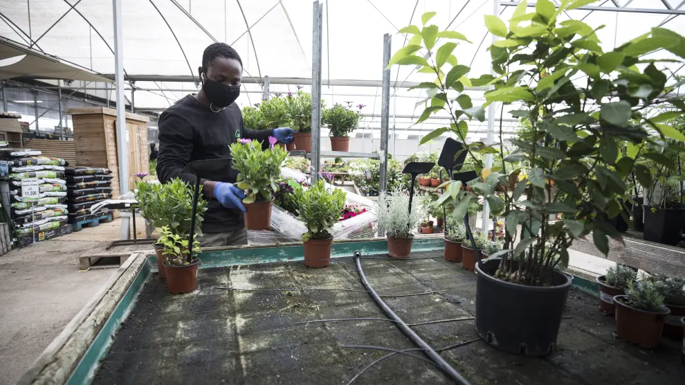 Un empleado coloca plantas en Jara Garden.