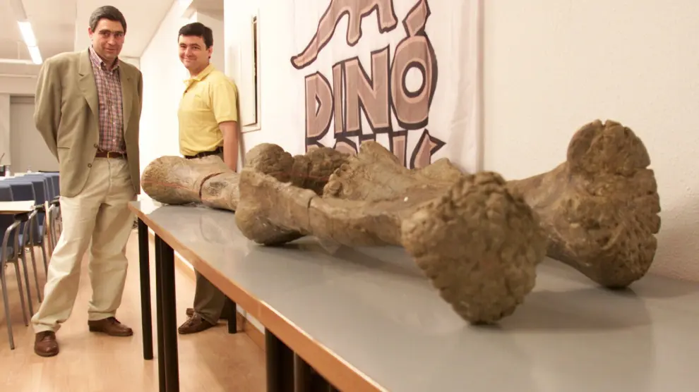 Huesos fósiles del Tastavinsaurus sanzi descubierto en Peñarroya de Tastavins.