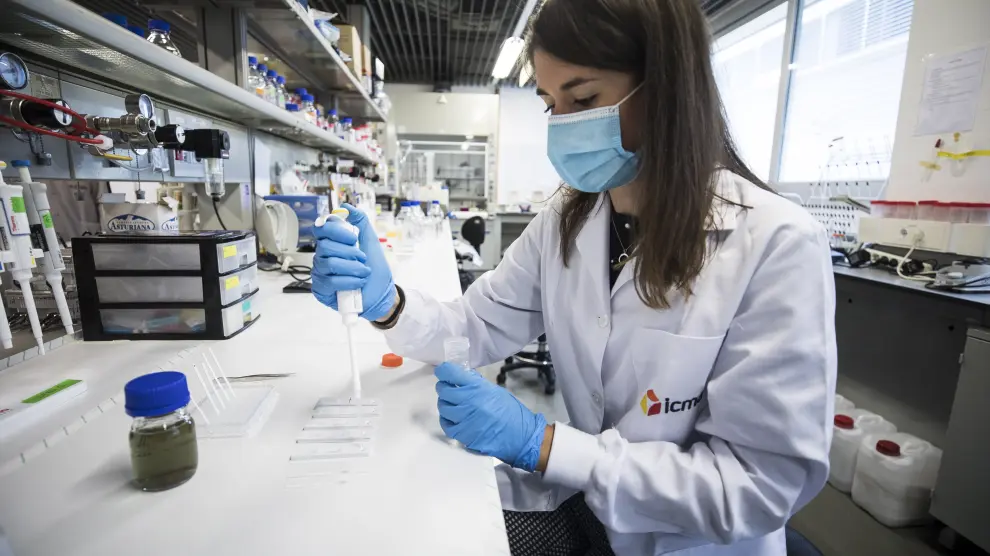 Una investigadora del Instituto de Ciencia de Materiales de Aragón prueba un test diagnóstico de covid-19 basado en nanopartículas de oro.