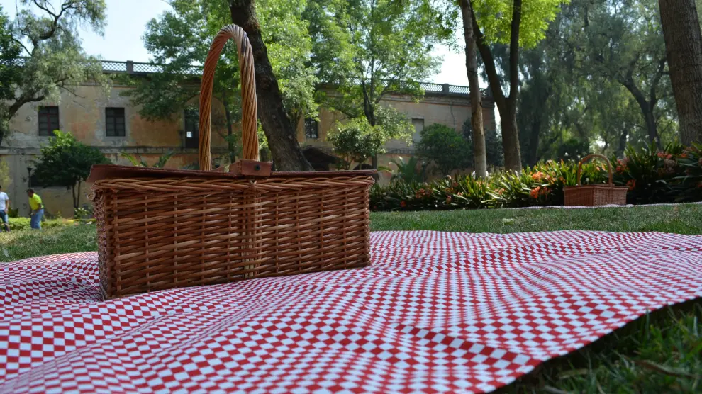 Dulces, embutido, tortilla de patata...¿qué tendrá tu picnic perfecto?