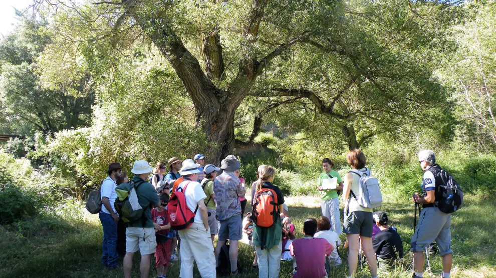 Monitor y un grupo de visitantes durante una ruta de ecoturismo en la Hoya de Huesca.