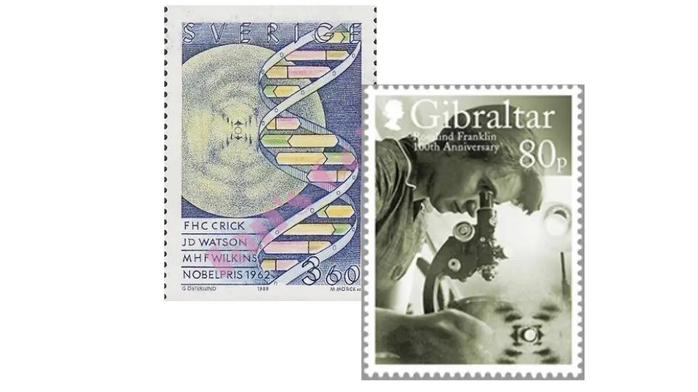 Sello dedicado a Francis Crick, James Watson y Maurice Wilkins, Nobel de Medicina, emitido en Suecia en 1989. Junto al dedicado a Rosalind Franklin en Gibraltar en 2020