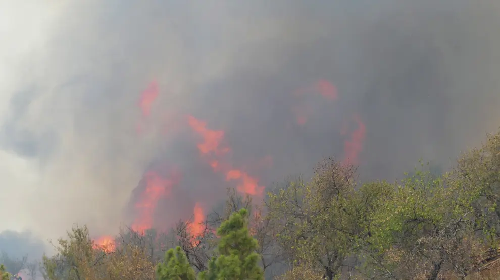 El fuego ha arrasado ya cerca de 400 hectáreas en La Palma.