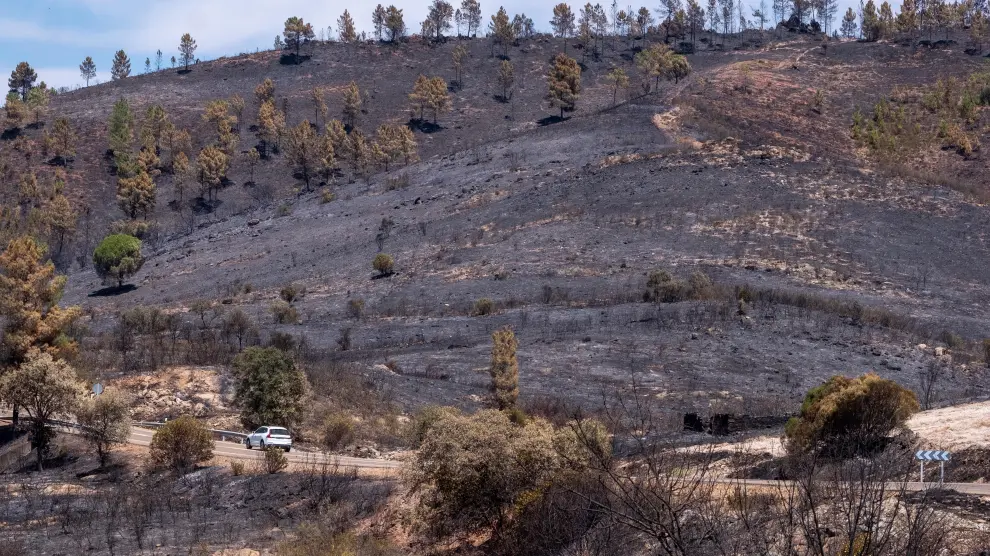 Estabilizado el incendio forestal de Huelva que afecta a 10.000 hectáreas