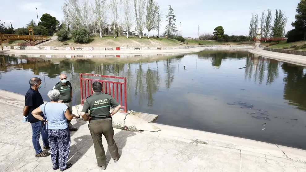 Aparecen cientos de peces muertos en un lago de Montecanal