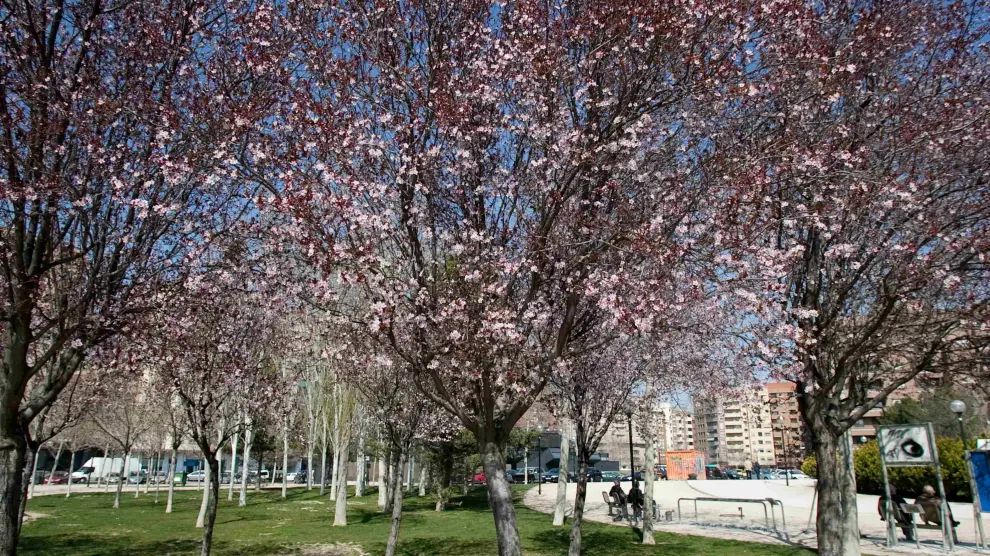 Parque de la Aljafería de Zaragoza