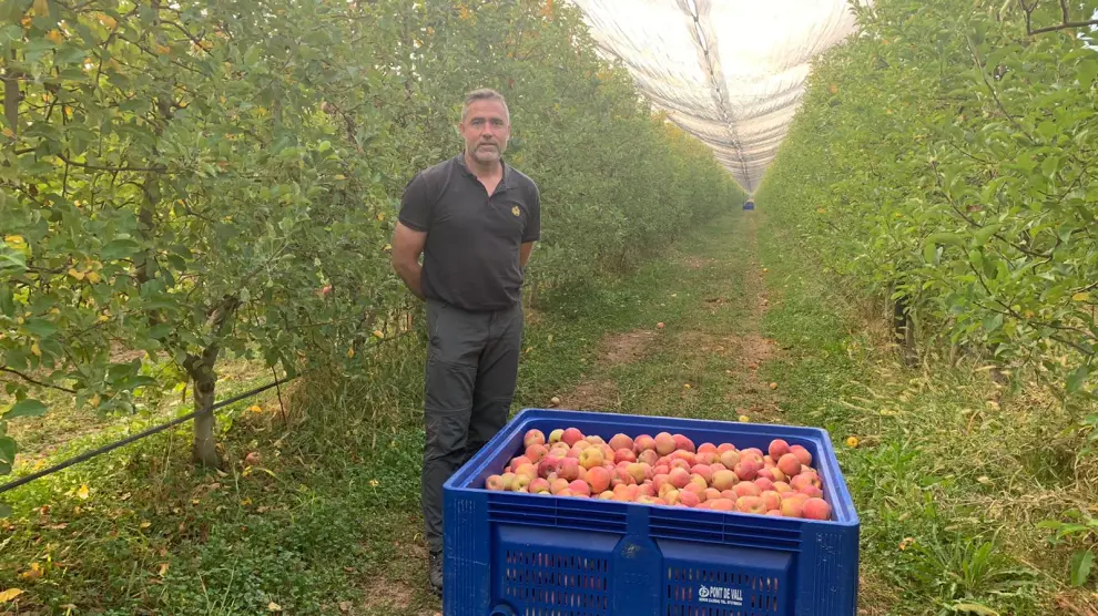 Javier Pueo, en uno de sus campos de cultivo de manzanas.