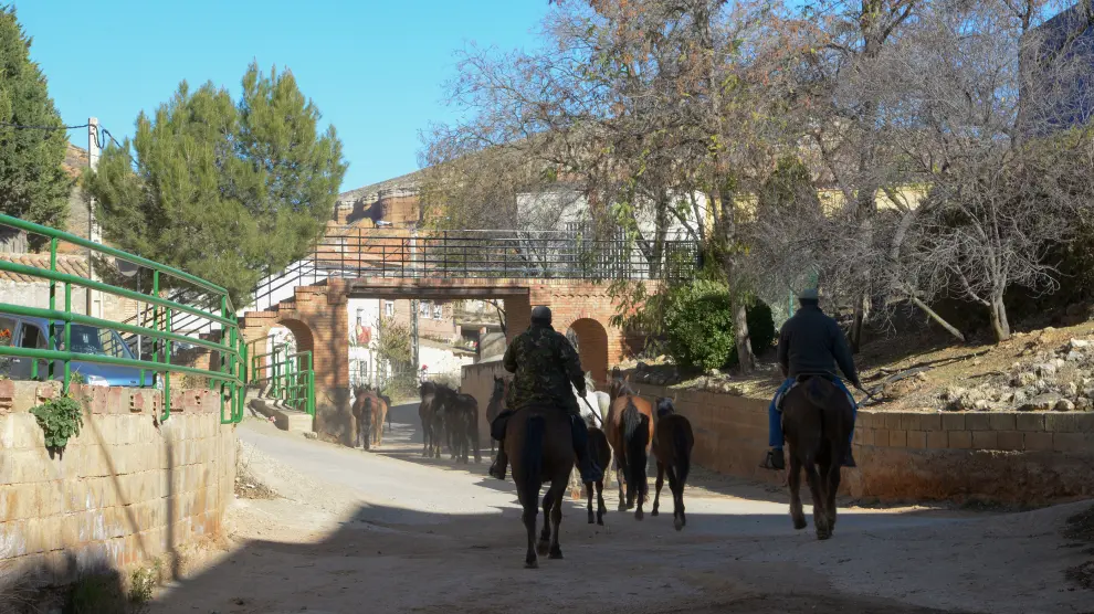 Los caballos, manejados por cuatro jinetes en una calle de Villaspesa.
