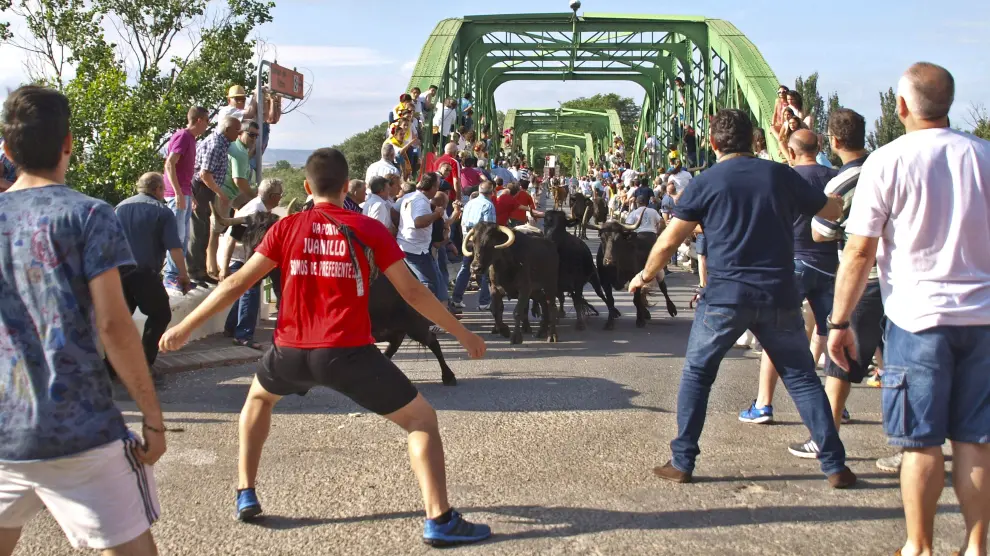 Imagen actual de la tradicional entrada de las vacas por el puente de hierro de la localidad. Es uno de los actos más esperados por los vecinos.