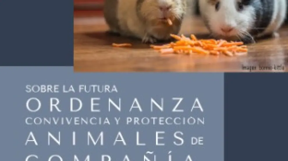 Participación ciudadana para redactar la ordenanza de animales domésticos en La Almunia de Doña Godina