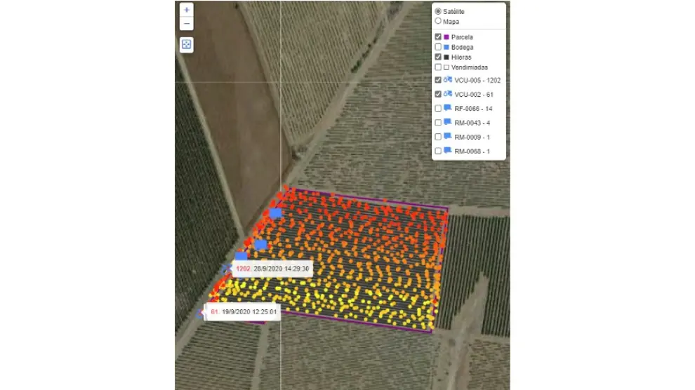 ‘Tracking’ de una parcela ya vendimiada. Cada fila de puntos es una hilera de cepas de una parcela. El color rojo indica que esas hileras se vendimiaron más tarde que las de color amarillo. Cada punto es una posición GPS registrada en la vendimiadora.