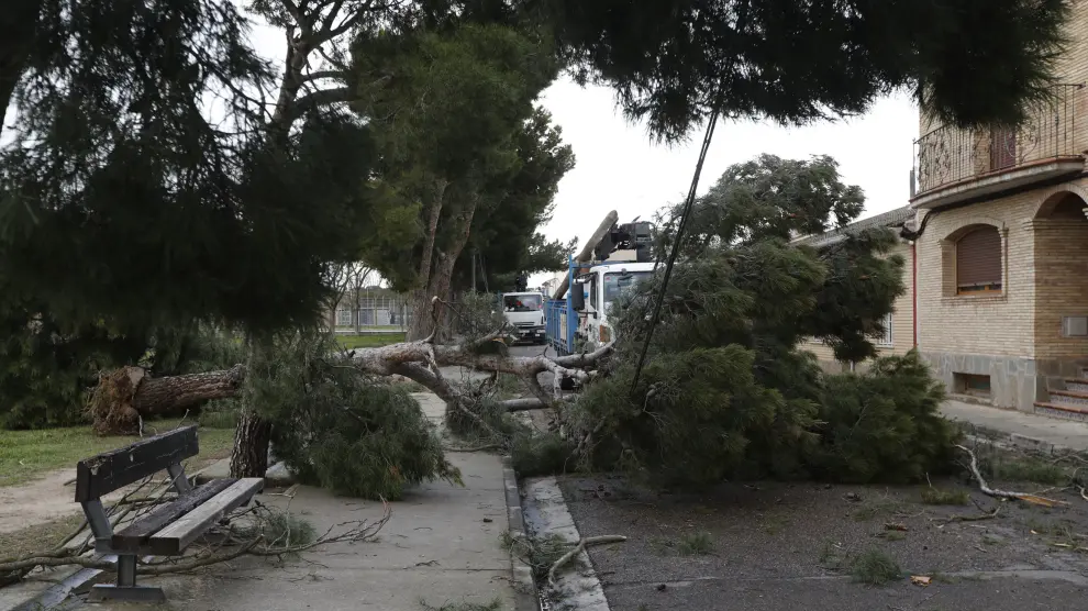La tormenta Hortensia destroza el barrio de San Gregorio (Zaragoza)