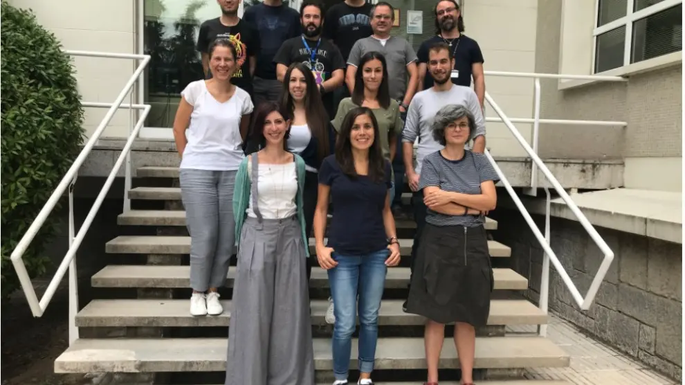 Clara Cuesta (delante, en el centro) y el resto de sus compañeros del grupo de Neutrinos en el Ciemat, en Madrid.