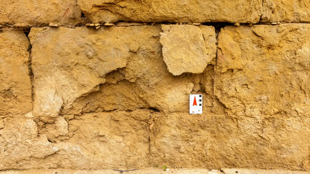 Placas (grandes) y escamas (pequeñas) en la base de un muro.
