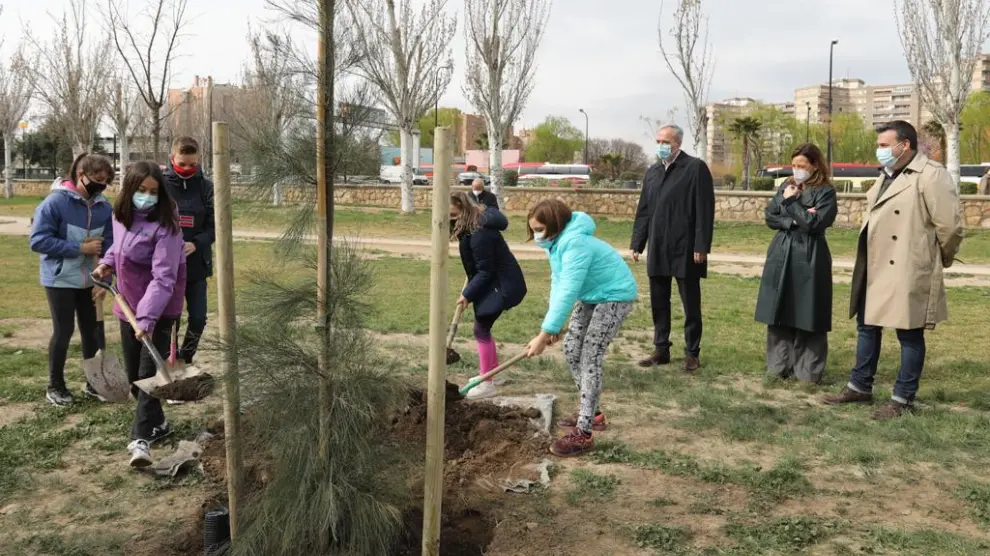 Plantación de árboles en Zaragoza