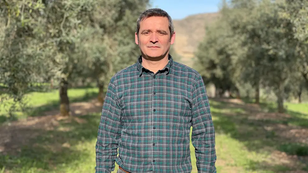 Carlos Aznar se dedica a los olivos desde hace 25 años
