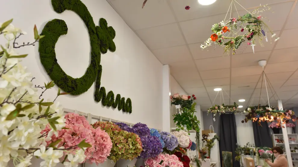 Ohana, comercio de flores y plantas artificiales en la calle Princesa de Zaragoza