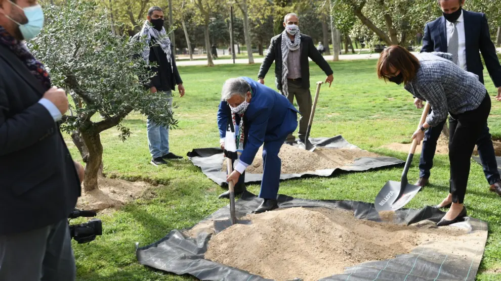 Zaragoza planta tres olivos para conmemorar el Día de la Tierra Palestina