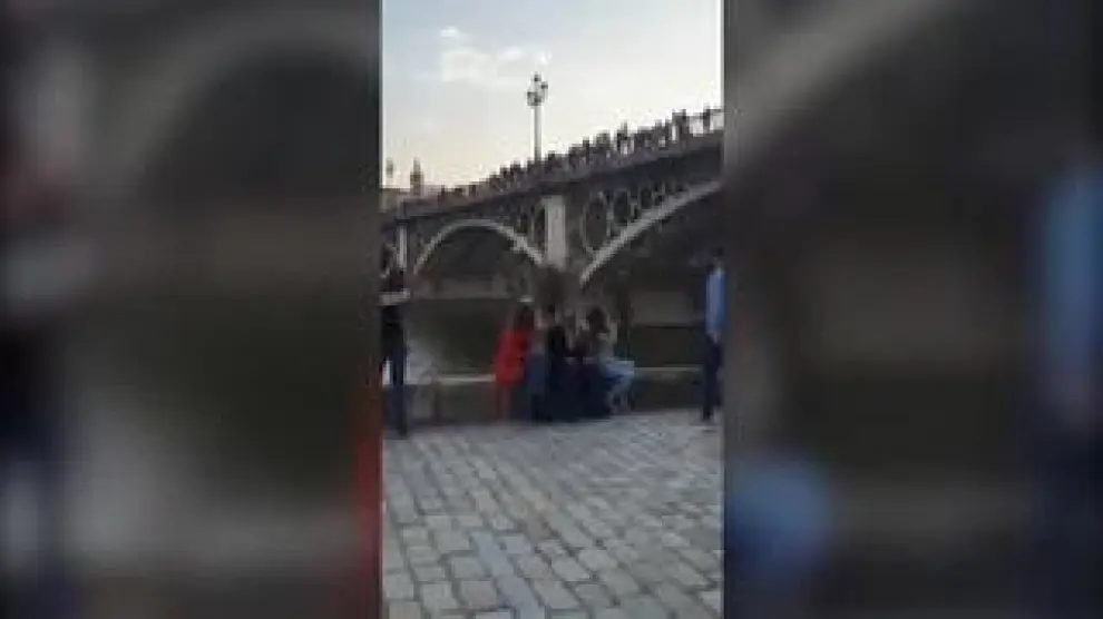 Hasta cuatro jóvenes se han lanzado al río desde el puente de Triana, un serio peligro con multa